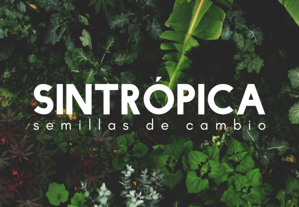 SINTRÓPICA's header image